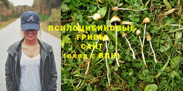 таблы Алексеевка
