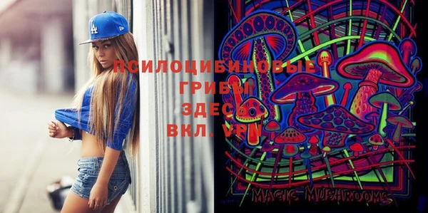 таблы Алексеевка